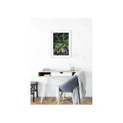 KomarWandbild Succulent Single 40x50 cm