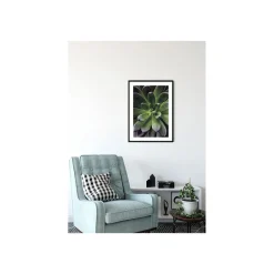 KomarWandbild Succulent Single 50x70 cm
