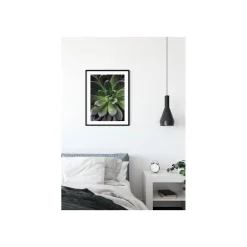 KomarWandbild Succulent Single 50x70 cm