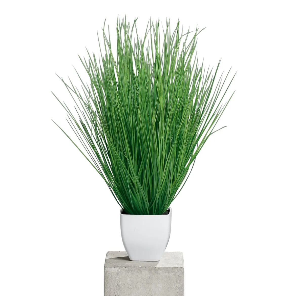 Kunstgras im Kunststofftopf weiß 55 cm