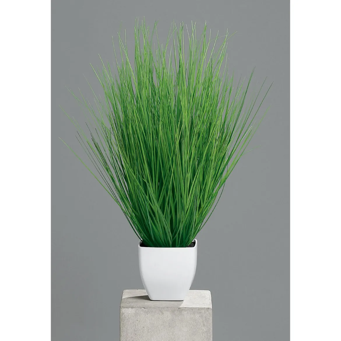Kunstgras im Kunststofftopf weiß 55 cm
