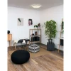 LED-Deckenleuchte Shining Coral 24W
