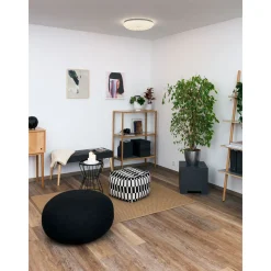 LED-Deckenleuchte Shining Coral 24W
