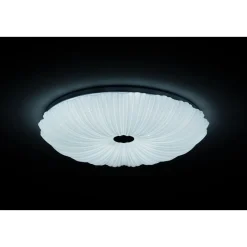 LED-Deckenleuchte Shining Coral 24W