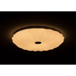 LED-Deckenleuchte Shining Coral 24W
