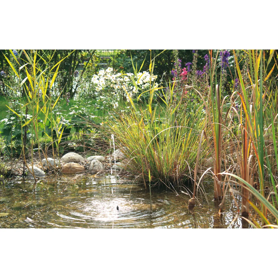 Oase PontecPondoSolar-Wasserspiel Solar 150