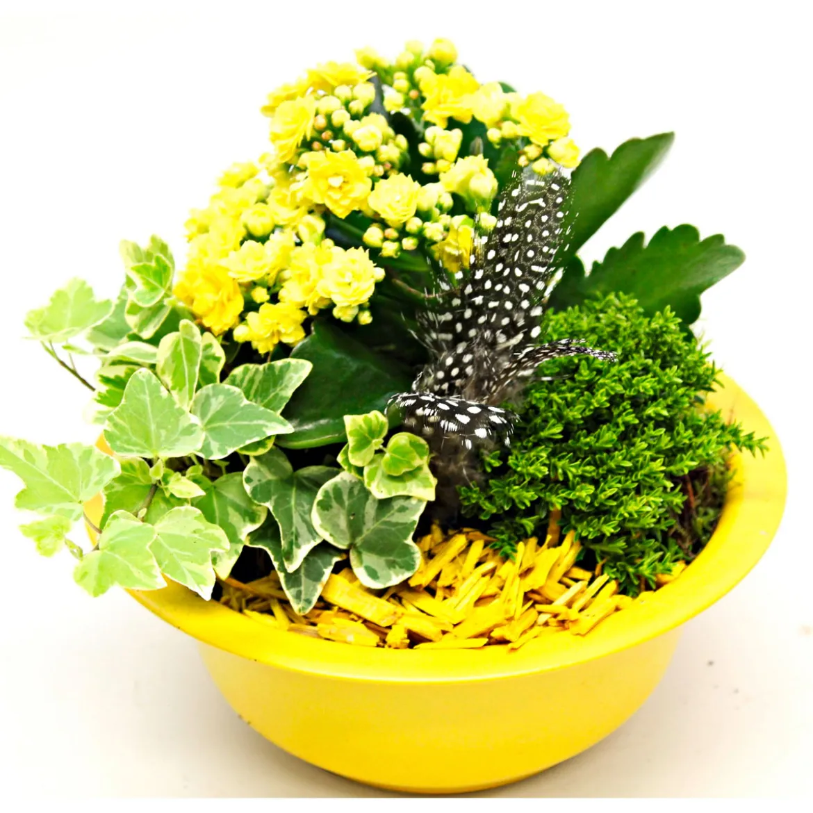 PlantiflorBepflanzte Gefäße mit Oster-Deko