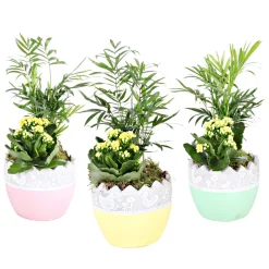 PlantiflorBepflanzte Gefäße mit Oster-Deko