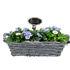 PlantiflorBepflanzte Gefäße rechteckig