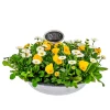 PlantiflorBepflanzte Zinkschale mit Oster-Deko