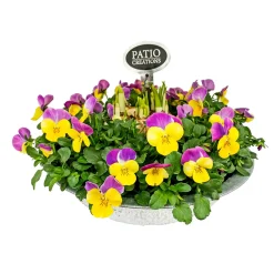 PlantiflorBepflanzte Zinkschale mit Oster-Deko