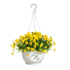 PlantiflorHornveilchen Ampel Durchmesser 25 cm