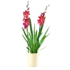 PlantiflorOrchideen-Mix Topf Durchmesser 9 cm