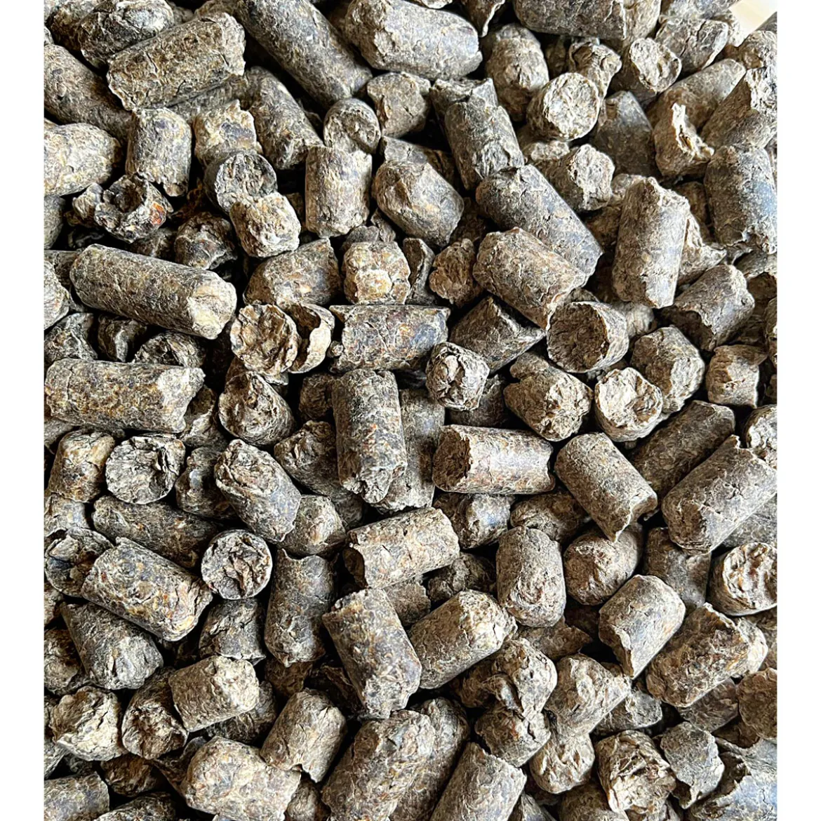 Rübenmelasseschnitzel 25 kg pelletiert