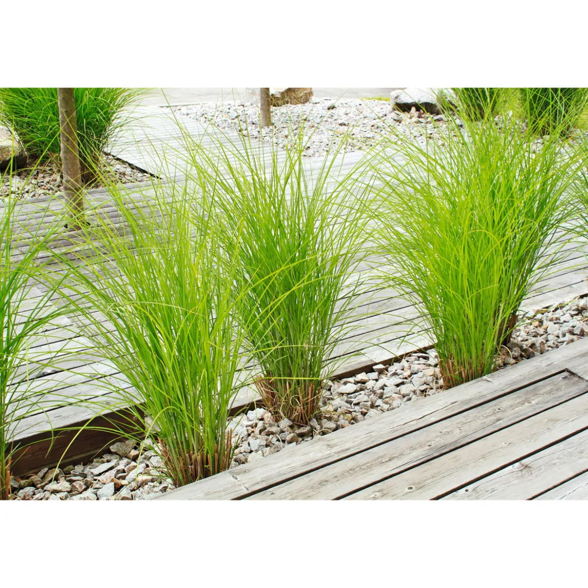 Rettenmeier Terrassendiele Kiefer grau 200 x 12 x 2,1 cm