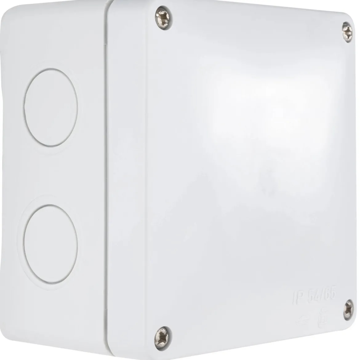 REV Ritter Abzweigkasten IP54/65 grau