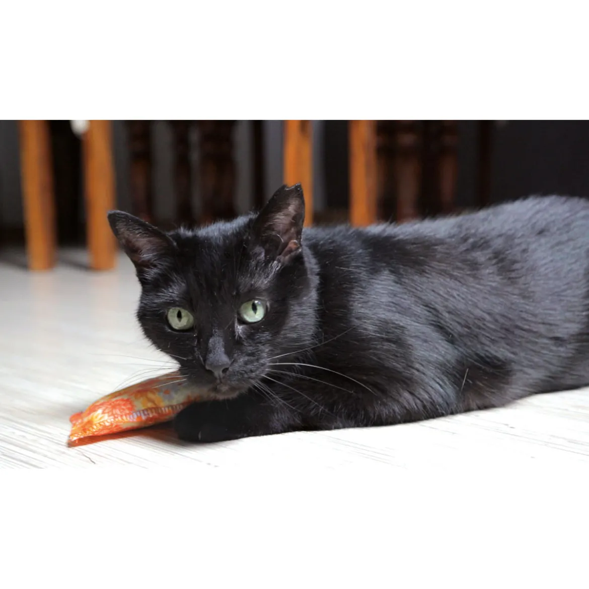 Schmusekissen Classic mit Katzenminze versch Farben