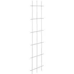 Spalier 3-strebig