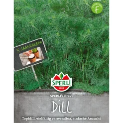 Sperli Dill Brevi 5 Saatscheiben