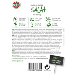 Sperli Kopfsalat Maikönig