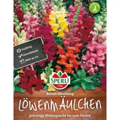 Sperli Löwenmaul ngs Riesen