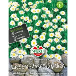 Sperli Wiesengänseblümchen ngs Tausendschön