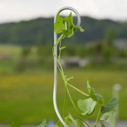 Tomatenspiralstab m. Haken 180cm