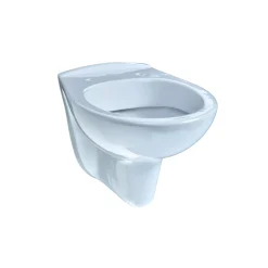 Wand-WC Tiefspueler Keramik mit Spuel-rand passend f. gaenige UP-Spuelkaesten