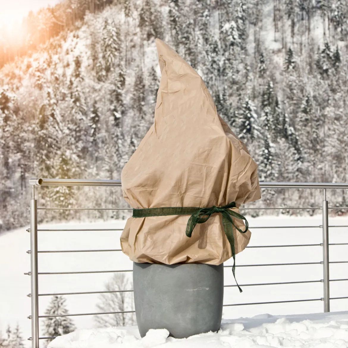 Winter-Vlies Protect 5x2 m, 30g/m2